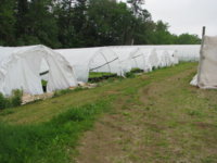 IMG_1731 - Copy.JPG