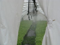 IMG_1733 - Copy.JPG