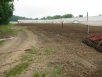 IMG_1769 - Copy.JPG