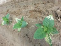 20130523_102042.jpg