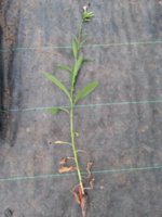 20130524_065205.jpg