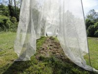 Shade cloth pics 002.jpg