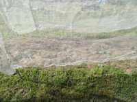 Shade cloth pics 005.jpg
