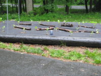 IMG_1789 - Copy.JPG