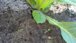 2013-06-04_14-07-21_774.jpg