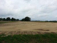 20130610_102124.jpg