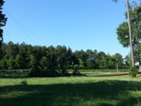 20130614_090032.jpg