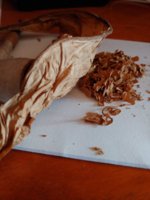 20201106_113830.jpg
