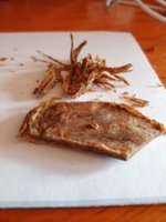 20201106_113817.jpg