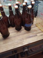 IMG_20201108_144341468.jpg