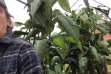 Photo on 11-12-20 at 3.27 PM.jpg