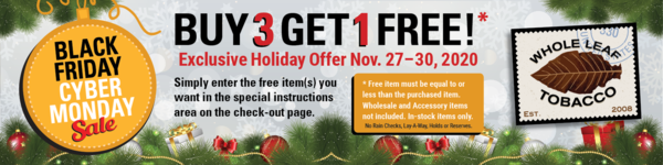 WLT-Black Friday Cyber Monday Coupon 2020-V2 (1).png