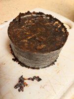 PicsArt_11-27-08.34.10.jpg PicsArt_11-27-08.34.10.jpg