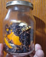 IMG_20201217_193720_762.jpg IMG_20201217_193720_762.jpg