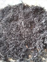 20210610_165845.jpg