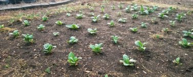 Howdy from Colorado, USA | Fair Trade Tobacco
