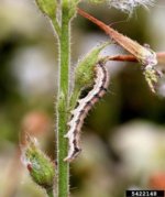 1626185194881.jpeg 1626185194881.jpeg