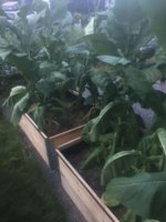 Image from iOS (10).jpg
