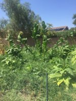 CB51100C-E164-46AB-A343-754599DC5E00.jpeg CB51100C-E164-46AB-A343-754599DC5E00.jpeg