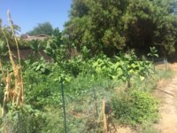 C8A819D1-8242-4A29-8253-DEB594067978.jpeg C8A819D1-8242-4A29-8253-DEB594067978.jpeg