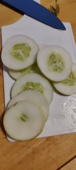 IMG_20210720_190428.jpg