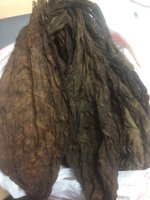 tobacco sweating Small scale tobacco 