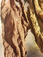 20200925_091354.jpg