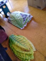 IMG_20200309_133021.jpg IMG_20200309_133021.jpg