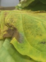 Image from iOS (19).jpg Image from iOS (19).jpg