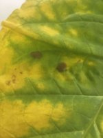 Image from iOS (22).jpg Image from iOS (22).jpg