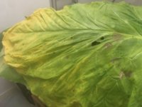 Image from iOS (20).jpg Image from iOS (20).jpg