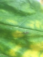 Image from iOS (21).jpg Image from iOS (21).jpg