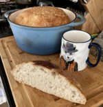 FB95D567-CAFF-4439-BD52-CF4D582F1978.jpeg