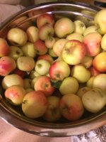 IMG_0886.JPG
