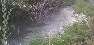 20200817_201202.jpg