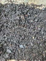 20220208_065543.jpg 20220208_065543.jpg