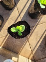 20220208_065514.jpg 20220208_065514.jpg