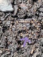 20220214_155912.jpg 20220214_155912.jpg