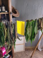 20220208_065604.jpg 20220208_065604.jpg