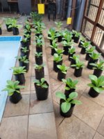 20220223_062100.jpg 20220223_062100.jpg