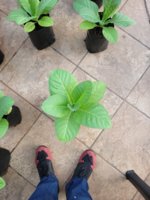 20220223_062107.jpg 20220223_062107.jpg