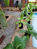 20220306_171947.jpg 20220306_171947.jpg