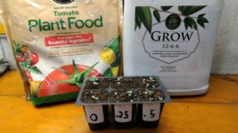 best fertilizer for tobacco plants Testing fertilizer strength on tobacco seedlings | Fair Trade Tobacco