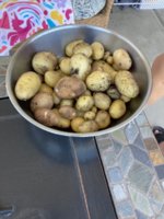 04183400-47D2-4D97-8441-BEDF5E100D4F.jpeg