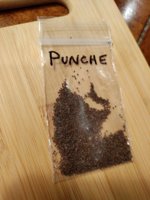 IMG_20220606_220951.jpg IMG_20220606_220951.jpg