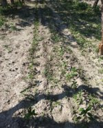 IMG_20220618_173438.jpg