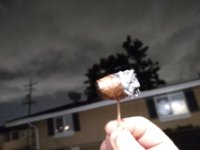 IMG_20220626_Hobo.jpg