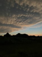 59D52318-8A40-4FD9-8602-C581B3725612.jpeg