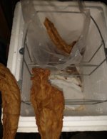IMG_20220806_113948324.jpg