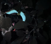 BA45C09C-F9C9-4737-986E-E4C98D2558FF.jpeg